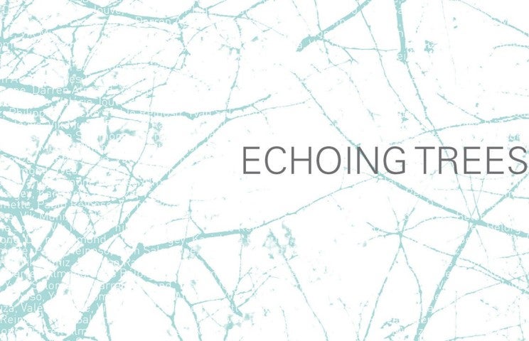 Echoing-Trees-visuel