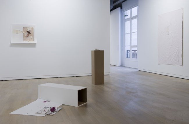 Vue de l'exposition, avec de gauche à droite les oeuvres de Jimmy Robert et Sophie Bueno Boutellier, © Marc Domage / Fondation d'entreprise Ricard
