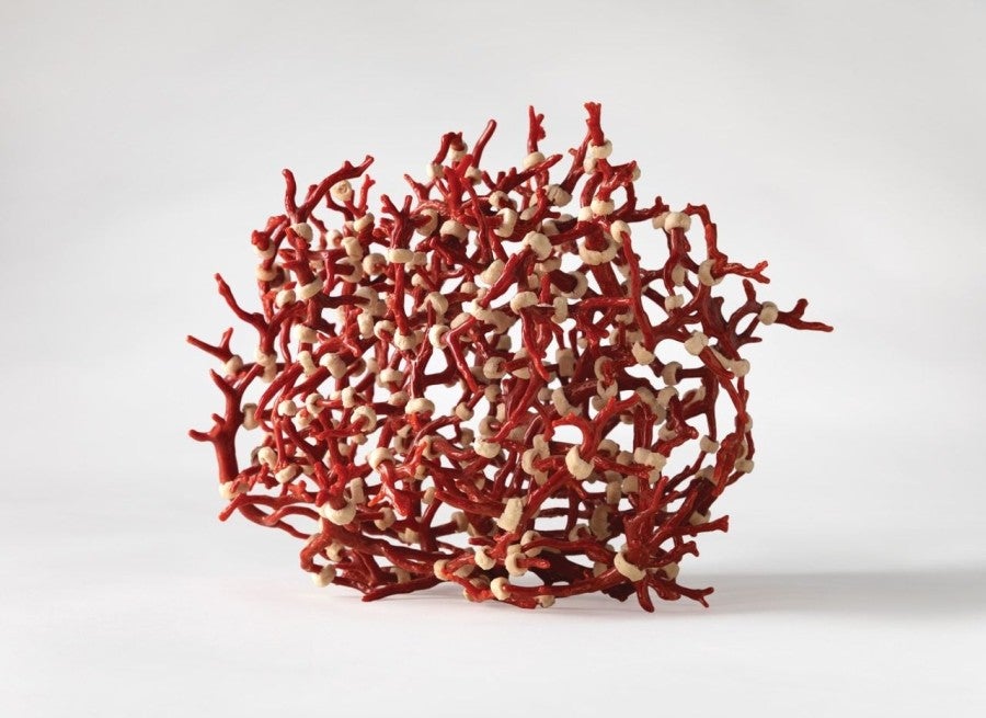 Hubert Duprat, Corail Costa Brava, 1994/ 1998, corail et pain de mie, diamètre d’environ 25 cm. Photo : Rémi Chauvin.