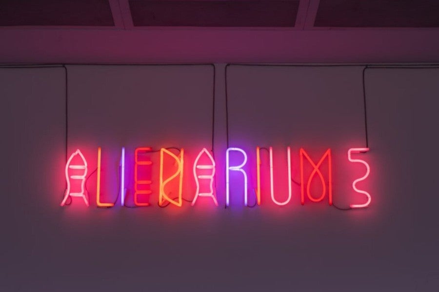 Dominique Gonzalez-Foerster with John Morgan studio, Alienarium 5 (Neon), 2022. Courtesy of the artist and Corvi-Mora, London. Installation view, Alienarium 5 (Serpentine South, 14 April - 4 September 2022). Photo: Hugo Glendinning. ©The artist and Serpentine, 2022.