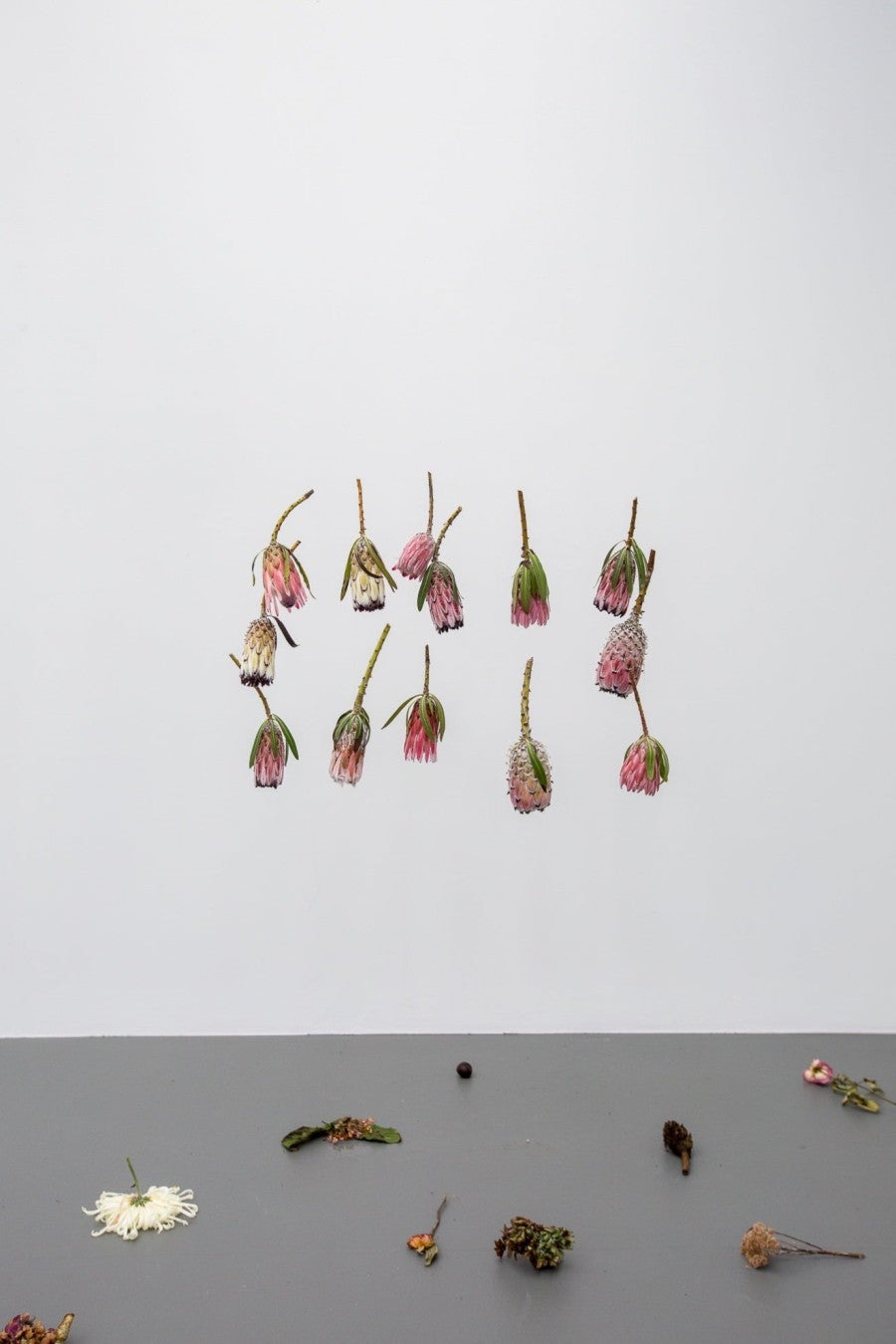 Chloé Quenum, Le Sceau de Salomon, 2018. Installation composed of 5 videos (3 with sound and 2 silent) and of fresh flowers and fruit. Variable dimensions. Exhibition view, The Engine Room, Wellington, New Zealand.