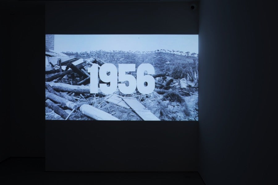 Ali Cherri, <i>The Disquiet</i>, 2013. Video still. HD, color, stereo, 20’. Courtesy the artist and Galerie Imane Farès, Paris.