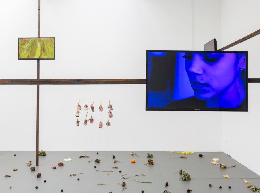 Chloé Quenum, Le Sceau de Salomon, 2018. Installation composée de 5 vidéos (3 sonores et 2 muettes) et de fleurs et fruits frais. Dimensions variables. Pièce unique. Vue d’exposition, The Engine Room, Wellington, Nouvelle-Zélande.