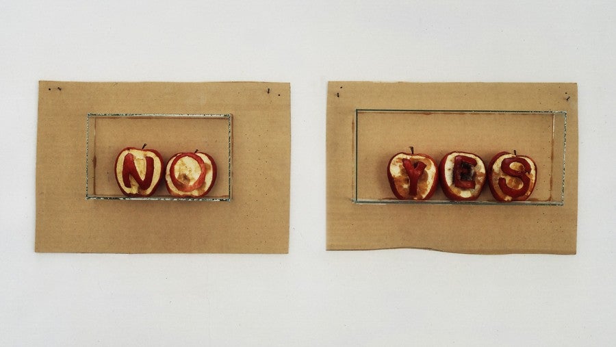 Jean-Claude Ruggirello, <i>Presque</i>, 1988, fruits, carton, verre, 40x15x10 cm. Vue d'exposition à la Galerie Latitude, 1988.