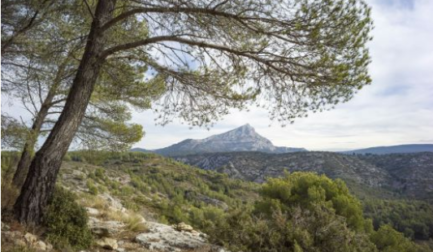 Sainte-Victoire #401
Tirage numérique. Exemplaire 1/6, 201760 x 80 cm. 

Courtesy de la galerie Lelong and Co, Paris.